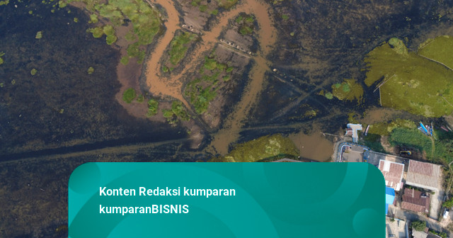 El Nino Bikin 143 Bendungan Hampir Kering, Sungai di Kalimantan-Jawa Menyusut