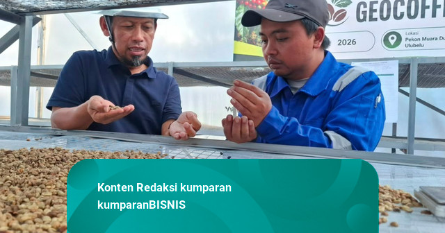 Energi Bersih di Balik Secangkir Kopi: Saat Local Hero Racik Masa Depan Ulubelu