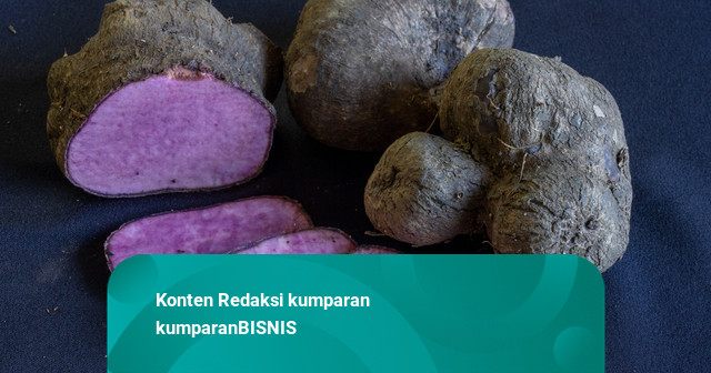 Permintaan Global Naik, tapi Filipina Putuskan Hentikan Ekspor Ube