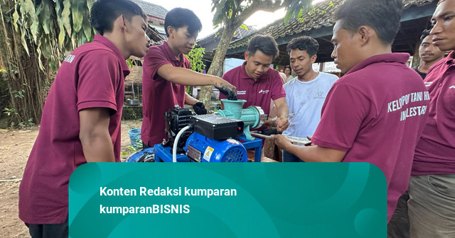 Ketika Local Hero Pertamina Hijaukan Lahan Gundul di Lombok Tengah dengan PLTS