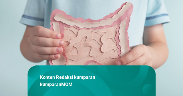 Ahli: Ada 40 Triliun Mikrobiota di Saluran Cerna Anak yang Perlu Dijaga