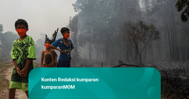 Rekomendasi IDAI untuk Lindungi Anak dari Paparan Kabut Asap Karhutla