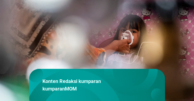 IDAI: PM2,5 dari Asap Karhutla 10x Lebih Berbahaya dari PM2,5 Sumber Lain