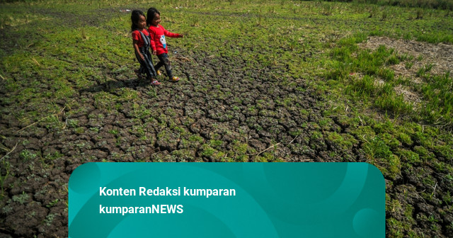 Warga di Gunungkidul Jual Ternak demi Beli Air Bersih saat Kekeringan