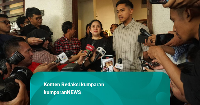 Hasto soal Kaesang Tantang Puan di Dapil Neraka: Proses yang Normal