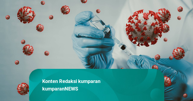 Penjelasan Dinkes Bali tentang Virus Zika yang Dapat Peringatan dari AS