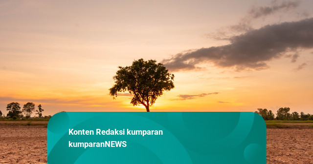 Kemarau Panjang di Depok: Warga Sulit Air, Rela Minta ke Tetangga-Beli Galon