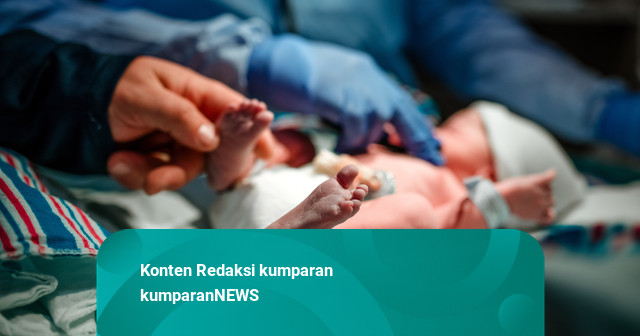 Bayi 2 Minggu di Tengah Kepungan Asap Karhutla, BNPB: Akan Koordinasi