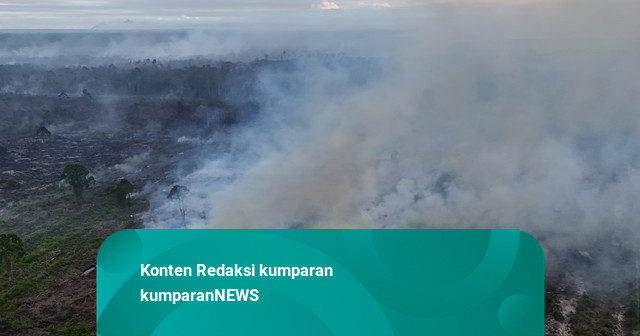 Karhutla 2026 Capai 202 Ribu Hektare, Menhut Soroti El Nino Datang Lebih Cepat