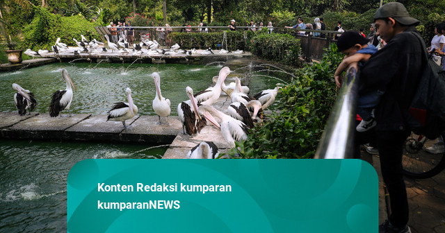 Pramono: Tarif Ragunan Rp 10 Ribu Belum Diputuskan