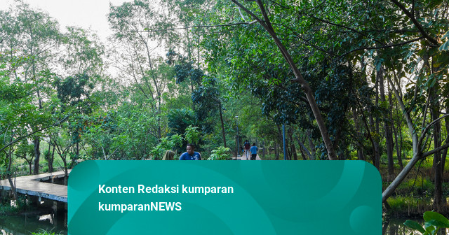 Polling kumparan: 39,92% Pembaca Tempuh Lebih dari 10 Km ke Hutan Kota Terdekat