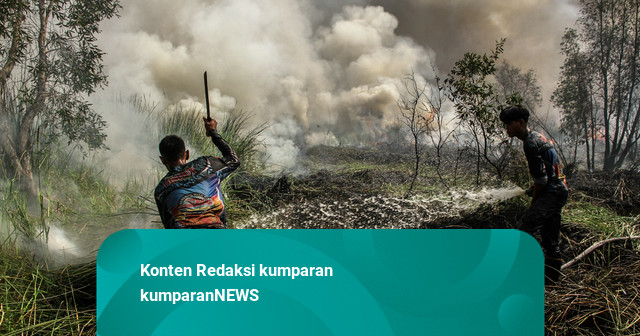 Akibat Karhutla di Kalimantan, BNPB Minta Warga Kalteng dan Kalbar Pakai Masker