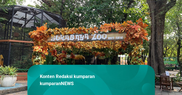 Anggaran Pakan KBS Diduga Dikorupsi, Seperti Apa Standar Ideal Pakan Satwa?