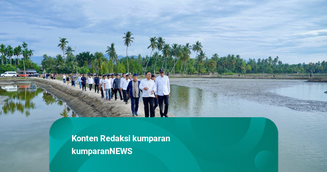 KKP Percepat Rehabilitasi Tambak Pascabencana di Aceh