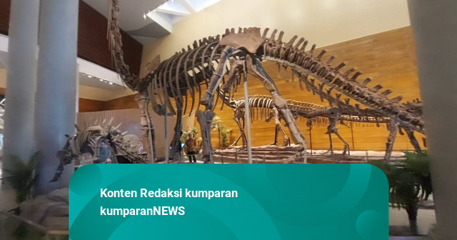 Kemenbud Resmikan Tahir Solo Museum, Ada Fosil Asli Omeisaurus dari China