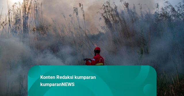 Foto: Berjibaku Memadamkan Kebakaran Lahan di Indralaya Utara