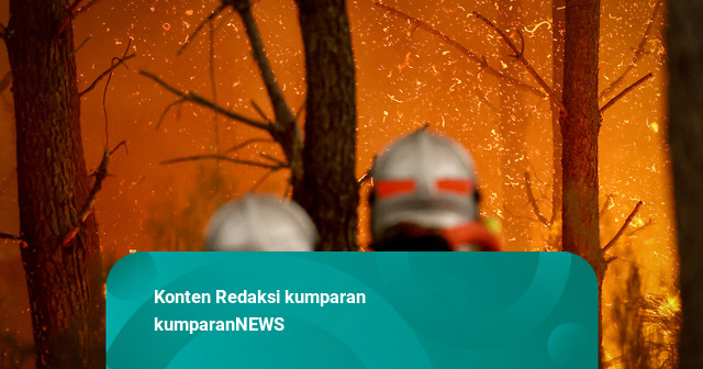 Foto: 220 Ribu Warga Dievakuasi Akibat Kebakaran Hutan Terus Membara di Prancis