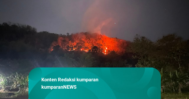 Kebakaran Hutan Seluas 8 Hektare Landa 2 Perbukitan di Imogiri Bantul