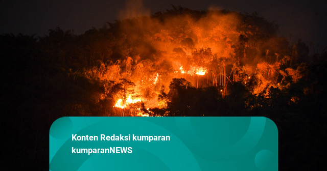 Foto: Hutan Gunung Jati di Kabupaten Bandung Dilalap Si Jago Merah