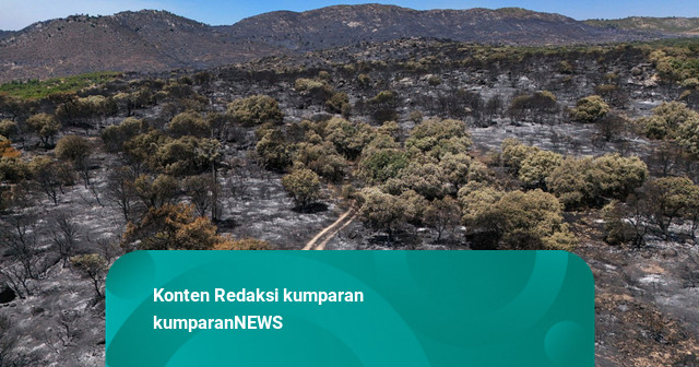 Foto: yang Tersisa dari Kebakaran Hutan di Spanyol