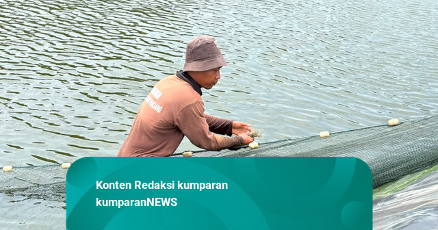 Kisah Rahmat, Belajar Budidaya Udang di Lapas Nusakambangan Demi Keluarga