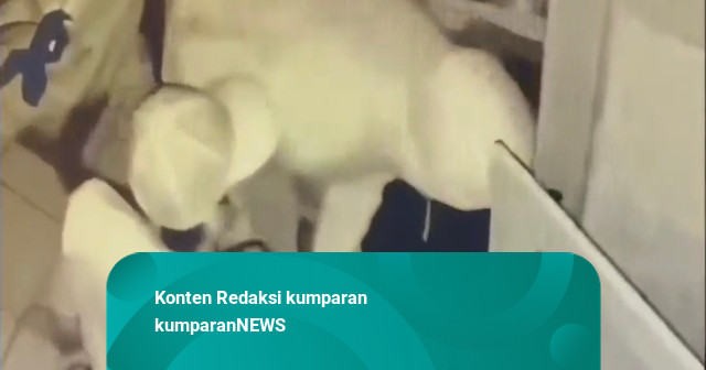 CCTV Rekam Aksi Komplotan Maling Bobol Sekolah di Depok, Gondol Kamera dan Uang