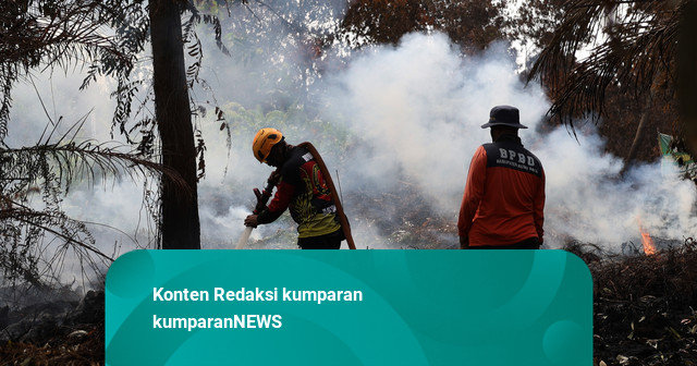 BNPB Ungkap Ada 198 Hotspot di Kalimantan Barat