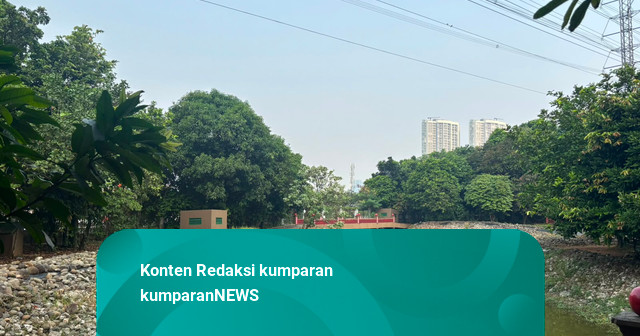 Hutan Kota di Jakarta Belum Merata: Keterjangkauannya Rendah di Kawasan Kumuh
