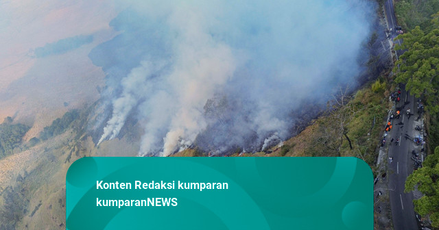 BNPB Akan Kerahkan 2 Helikopter untuk Padamkan Kebakaran di Gunung Bromo