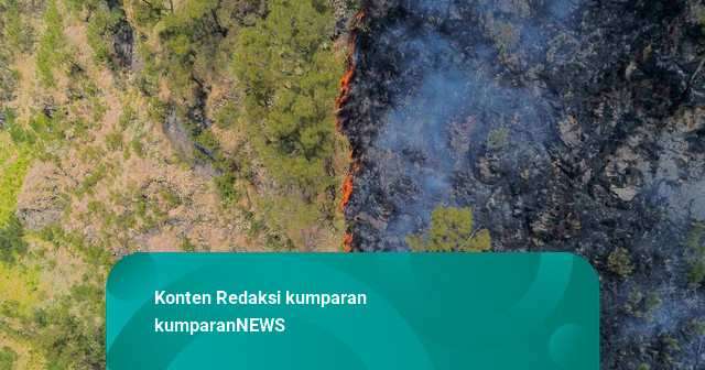 Foto: Kebakaran Hanguskan 80 Hektare Savana Gunung Bromo