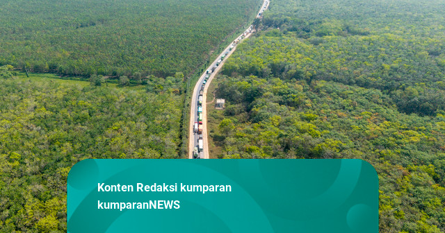 Foto: Dua Pekan Macet Parah, Jalintim Palembang-Jambi Masih Tersendat