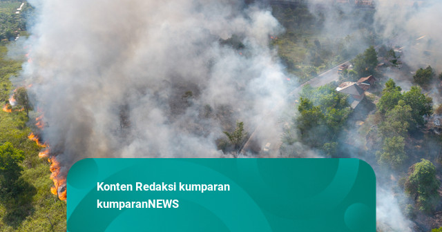 Foto: Kebakaran Lahan Melanda Ogan Ilir, Pengendara Tetap Melintas di Jalintim