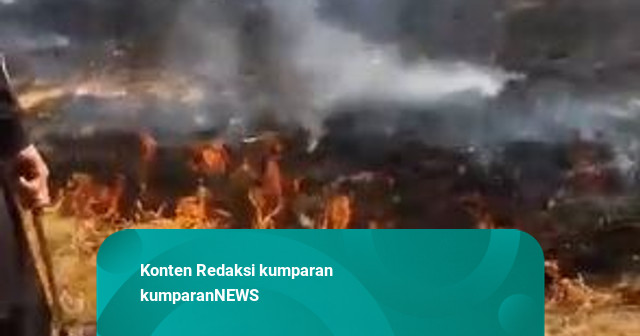 Kebakaran Gunung Gede Pangrango Masih Terjadi, Polisi Terjunkan Pleton Bawa APAR