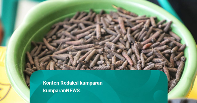 Kemensos Berdayakan Penerima Bansos Madura Jadi Petani Ekspor Cabai Jamu Organik