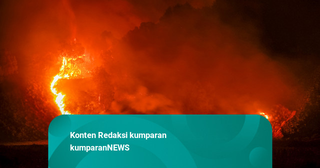 Kebakaran Hutan Gunung Bromo, Komisi IV Minta Drone Pantau Titik Api Real-Time