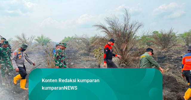 Karhutla Jambi Capai 300 Hektare, Gubernur Ajak Warga Salat Minta Hujan