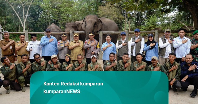 Anggota Komisi IV DPR Rajiv Minta Kemenhut Anggarkan Vaksin untuk Anak Gajah
