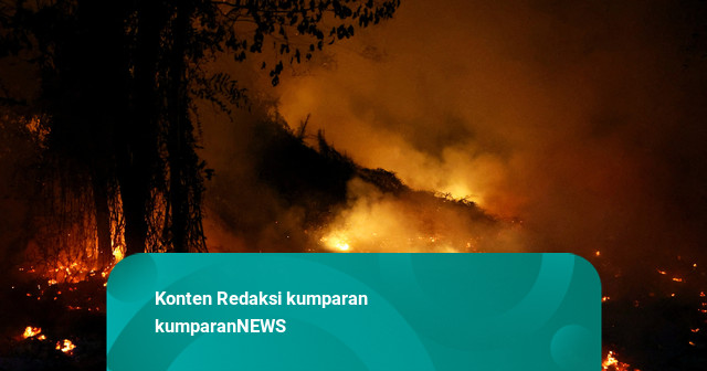 Foto: Kebakaran Hutan Kepung Kalimantan, Asap Tebal Selimuti Permukiman Warga