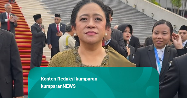 Puan Soroti Singapura-Malaysia Protes Karhutla Kalimantan, Minta Ditangani Cepat