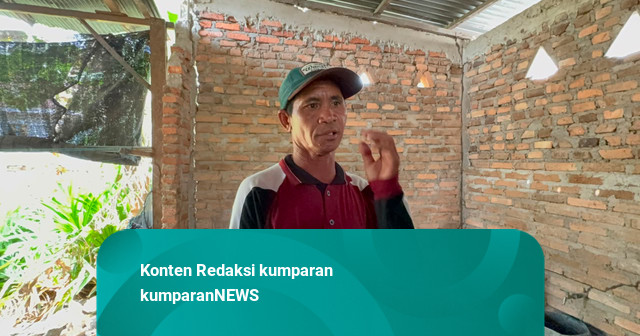 Kisah Ahmad, Bawa Keluarga Lari ke Bukit saat Air Laut Surut Usai Gempa 7,7 M