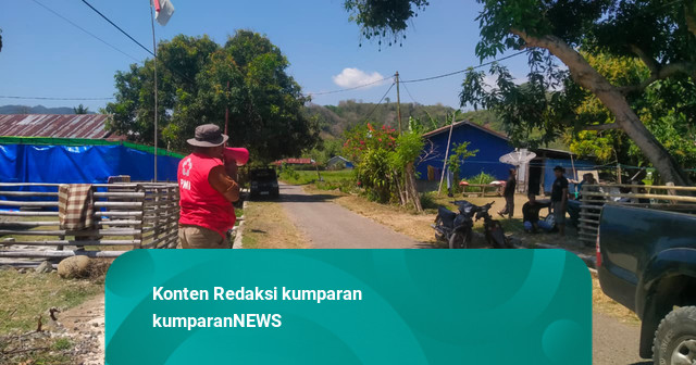 Relawan PMI Keliling Titik Pengungsi Gempa NTT, Sebar Informasi soal RS Lapangan