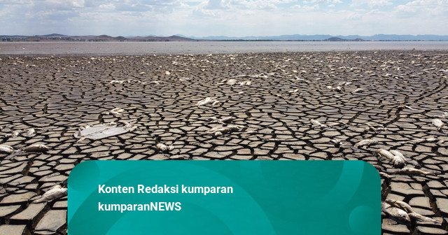 Kekeringan Bisa Sampai November, Pulau Jawa Paling Banyak Terdampak