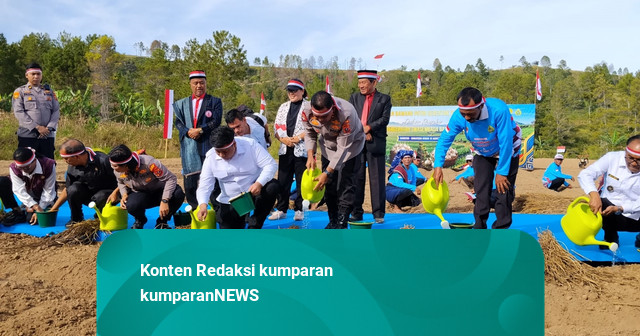 Polda Sumut Tanam 6,16 Ha Bawang Putih di Samosir, Potensi Hasil 10 Ton