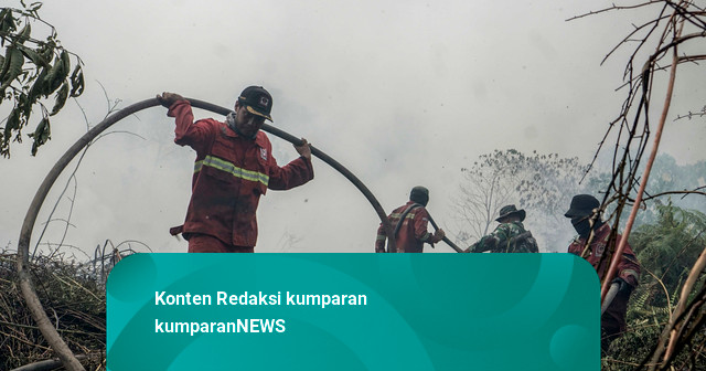 Foto: Karhutla di Riau Meluas, Petugas Terus Berupaya Padamkan Api