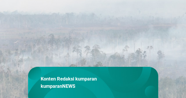 Karhutla Makin Meluas, Jadi Sorotan DPR