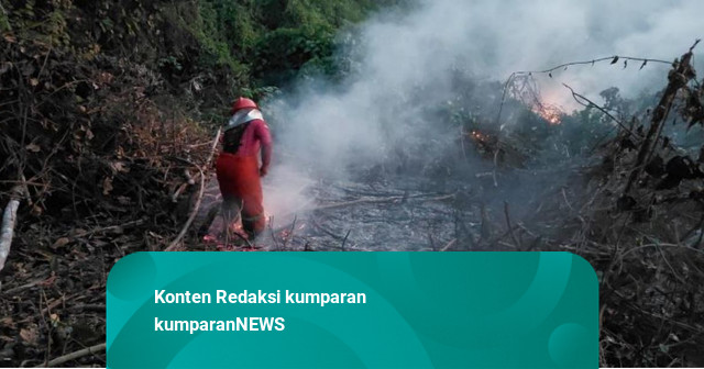 Potret Petugas Berjibaku Padamkan Karhutla di Kalimantan