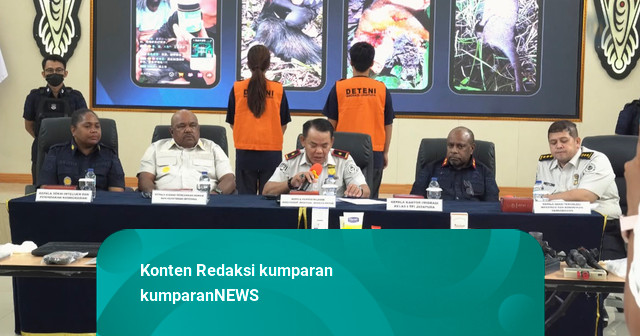 Berburu Kasuari-Kuskus untuk Konten, Dua WN China Dideportasi Imigrasi Jayapura