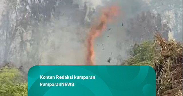 Asap Karhutla di Kampar Mengarah ke Jalan Lintas Barat, Pengendara Terganggu