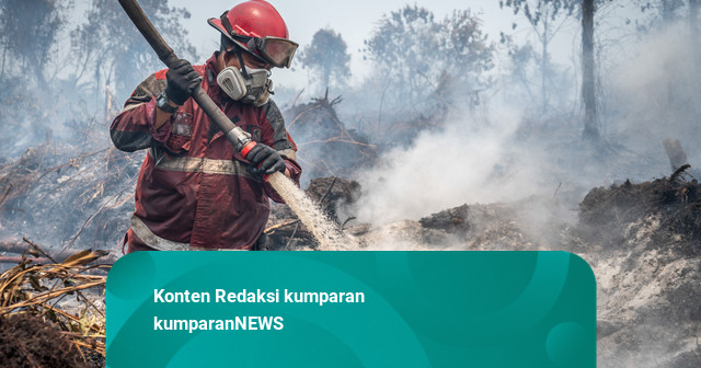 Foto: Aksi Petugas Gabungan Padamkan Karhutla di Riau