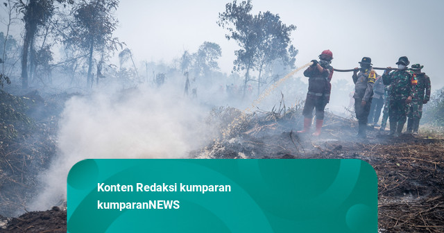 Kabut Asap Karhutla Meluas, 860 Warga Riau Terpapar ISPA